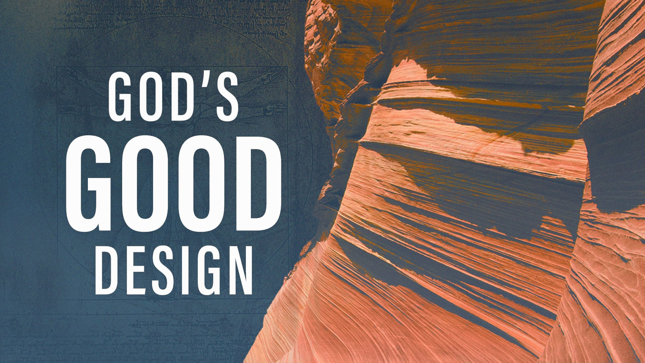 God's Good Design Opener